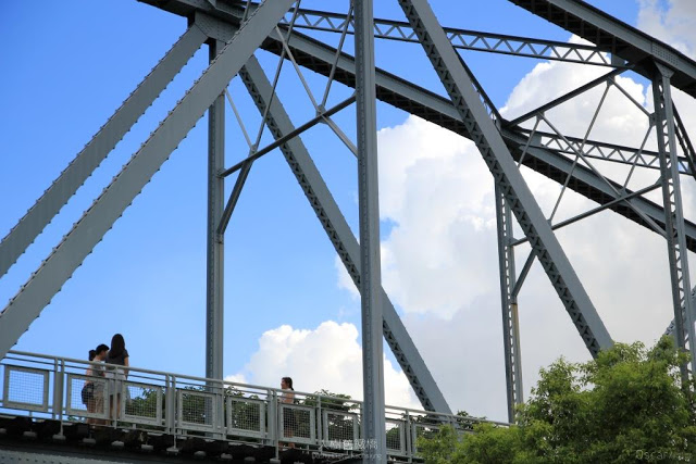 大樹舊鐵橋天空步道-25