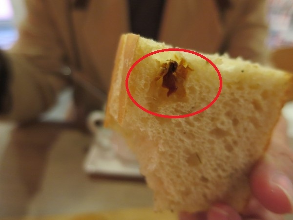 樂義義大利餐廳(高雄自由店)：從田園到餐桌~.. Love, Italy 樂義義大利餐廳(高雄自由店)