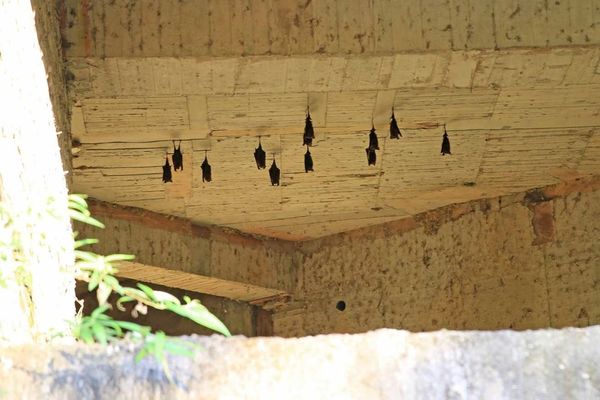 【台北旅遊】和興炭坑與象山101夜景-台北半日遊