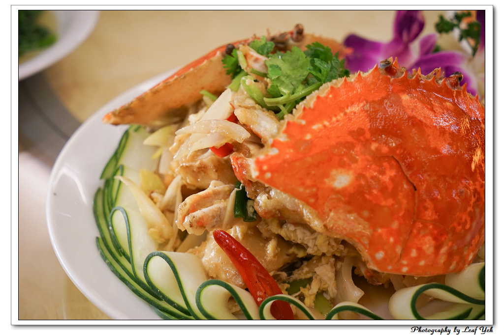 葉影瓶像版權所有