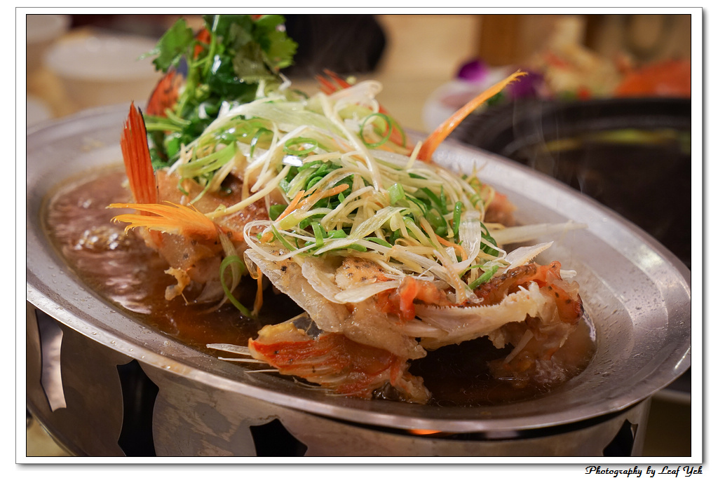 葉影瓶像版權所有