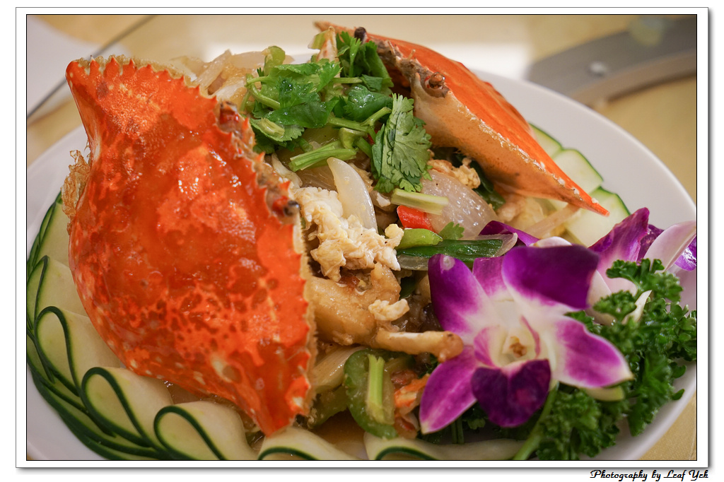 葉影瓶像版權所有