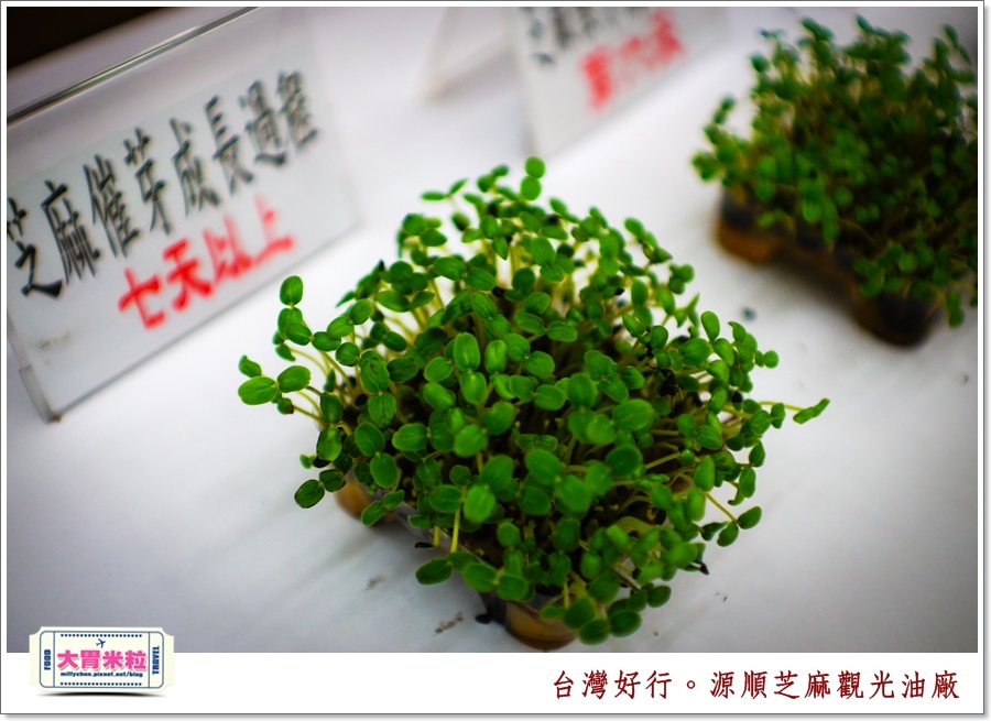 台灣好行北港虎尾線-源順芝麻油觀光油廠＠大胃米粒0032.jpg