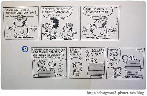 台北-史努比65周年特展-台北場-松山文創園區-松山菸廠--捷運市府站捷運國父紀念館站-最終站-花生漫畫-PEANUTS-woodstock-snoopy-查理布朗-開幕口碑場-28-c區-史努比好朋友-主角聚光燈-2-131-1