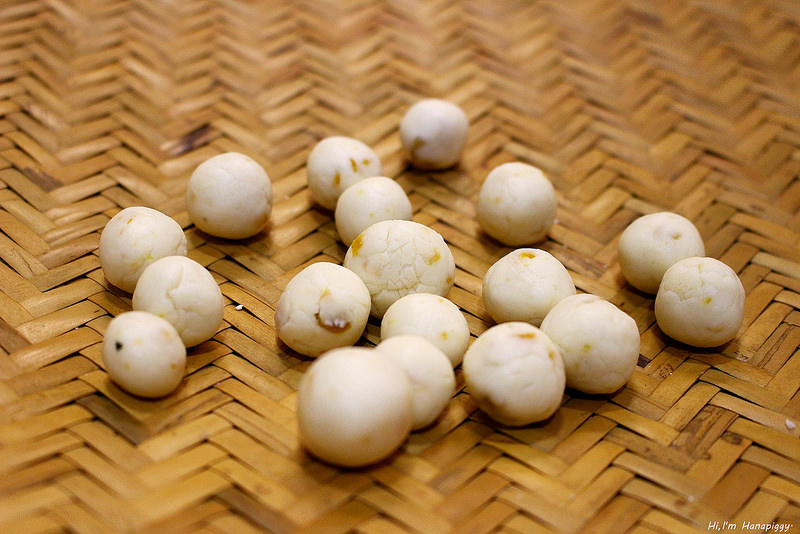 新竹竹東湯圓文化小旅行 (60)