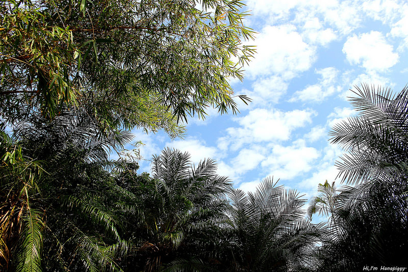 新竹竹東湯圓文化小旅行 (4)