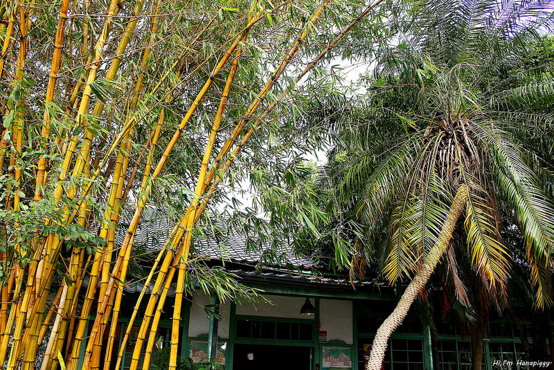 新竹竹東湯圓文化小旅行 (5)