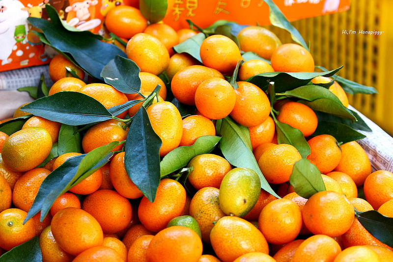 新竹竹東湯圓文化小旅行 (25)