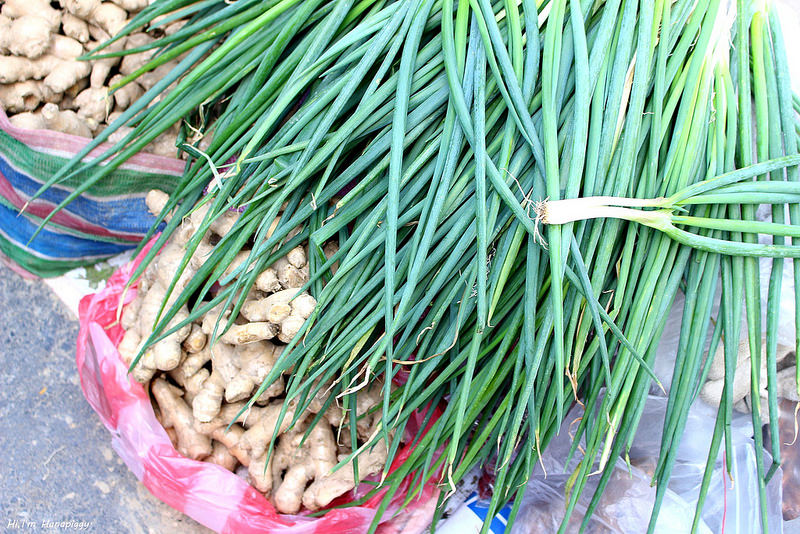 新竹竹東湯圓文化小旅行 (28)