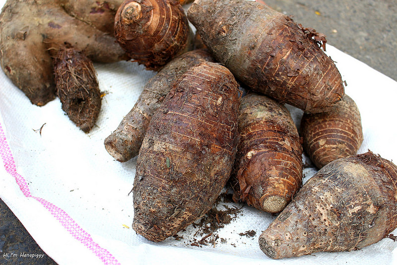 新竹竹東湯圓文化小旅行 (29)