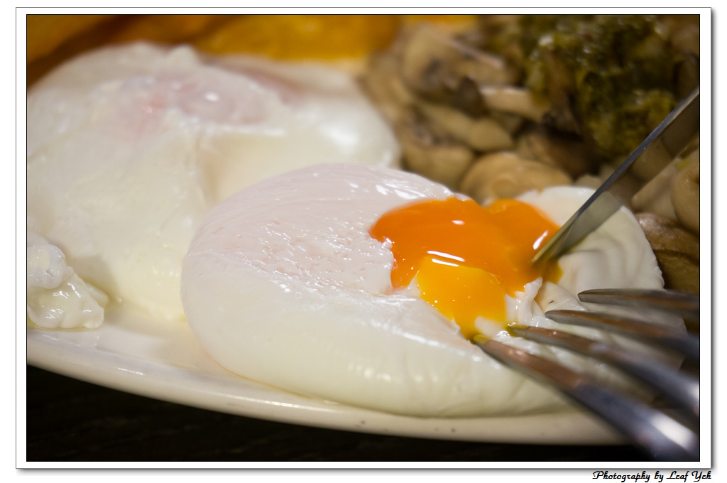 葉影瓶像版權所有