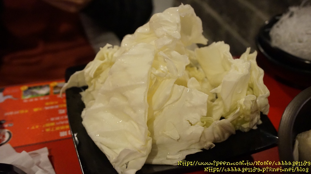 DSC05229 (複製).JPG