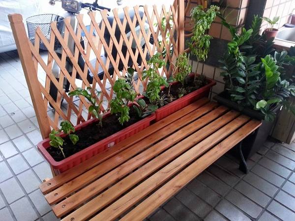 原粹蔬食：[高雄][美食]原粹蔬食~原味覺醒●粹練美味