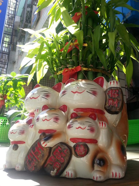 原粹蔬食：[高雄][美食]原粹蔬食~原味覺醒●粹練美味