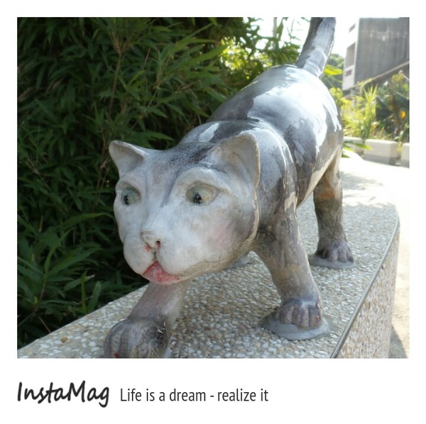 三民社區享幸福廊道：平凡的鄉村有小小的貓世界&彰化田中窯燒陶板藝術貓社區