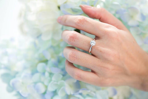 10816204_572185996258813_714128561_n