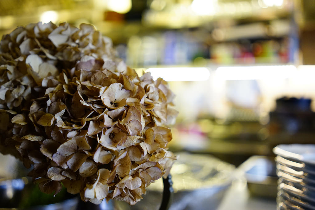 包心菜實驗廚房