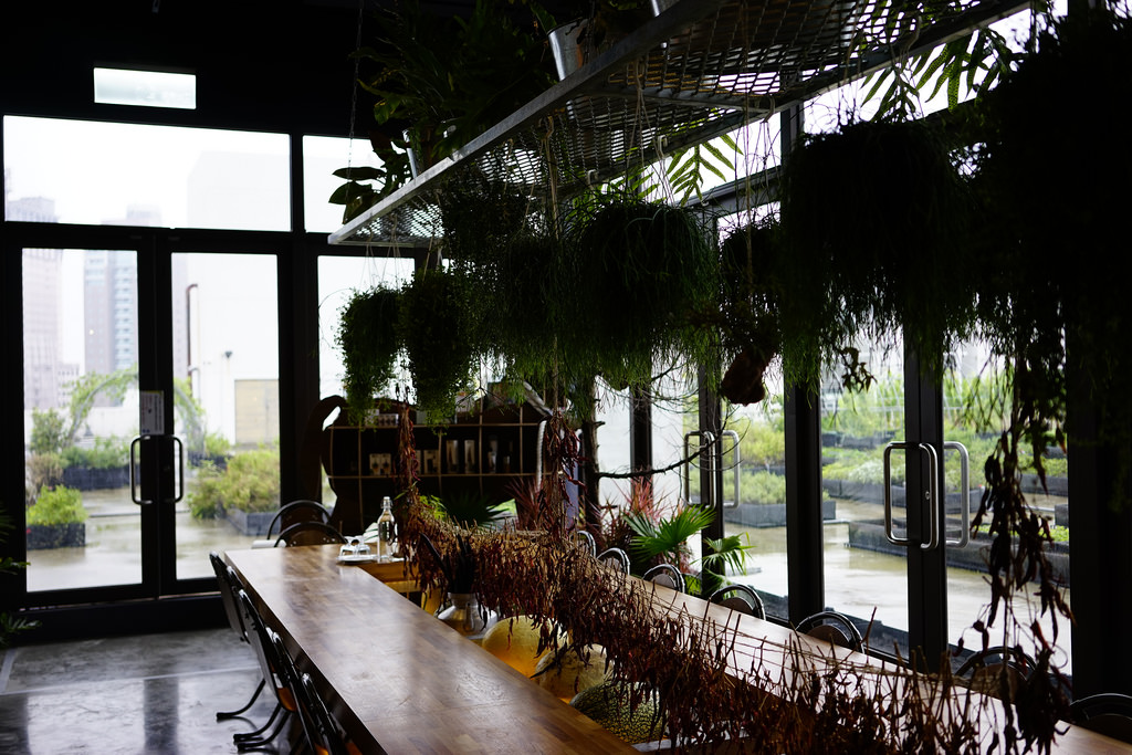 包心菜實驗廚房