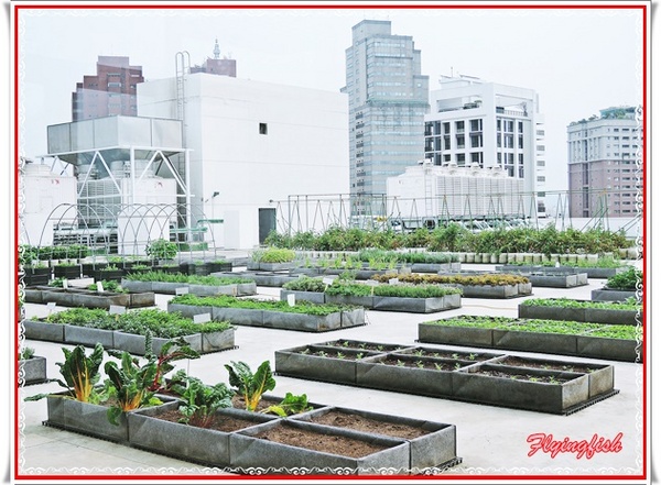 包心菜實驗廚房:✜ 白天及夜晚皆美,讓人耳目一新滴鄉村風健康餐飲空間 - 台中「包心菜實驗廚房」 ٩(๑❛ᴗ❛๑)۶