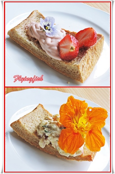 包心菜實驗廚房:✜ 白天及夜晚皆美,讓人耳目一新滴鄉村風健康餐飲空間 - 台中「包心菜實驗廚房」 ٩(๑❛ᴗ❛๑)۶