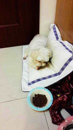 Alfri beauty salon:【羽諾生活口碑卷3】體驗Alfri beauty salon 專業SPA紓壓