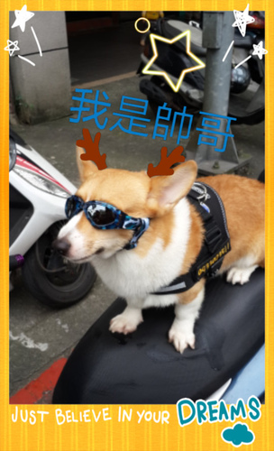 Alfri beauty salon:【羽諾生活口碑卷3】體驗Alfri beauty salon 專業SPA紓壓