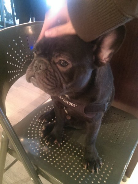 CAMPUS CAFE(忠孝店)：《台北》CAMPUS CAFE│校園新美式風味餐廳 內有活招牌@忠孝復興站