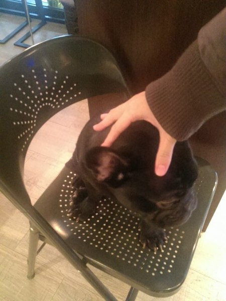 CAMPUS CAFE(忠孝店)：《台北》CAMPUS CAFE│校園新美式風味餐廳 內有活招牌@忠孝復興站