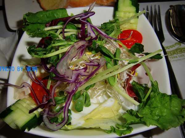 青豆義法小廚:聚會好所在:青豆餐廳