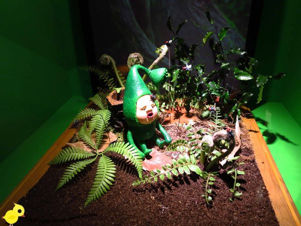 【台北 展覽】療癒系繪本《看見醜比頭》特展-台北華山文創園區