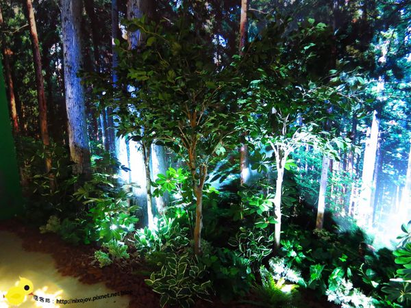 【台北 展覽】療癒系繪本《看見醜比頭》特展-台北華山文創園區