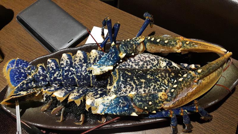 20151204_192916 (Copy).jpg