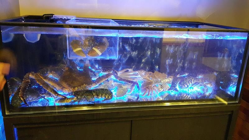 20151204_181150 (Copy).jpg