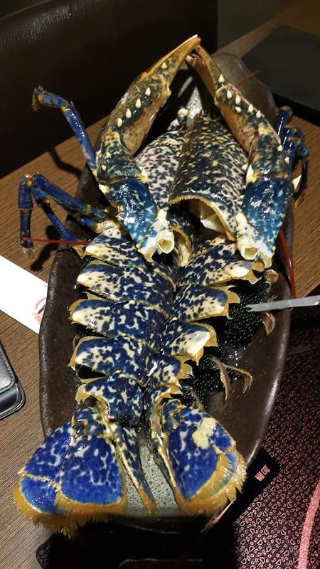 20151204_192844 (Copy).jpg