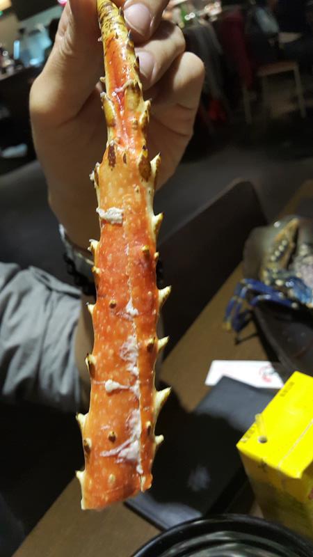 20151204_200855 (Copy).jpg