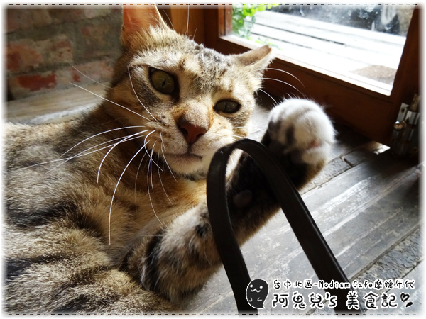 cm20160526___e126a5e78372685823a48dc15a7