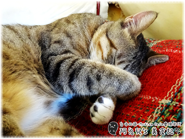 cm20160526___41d935278f789df834c55fa245a