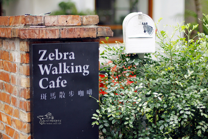 斑馬散步 (1)