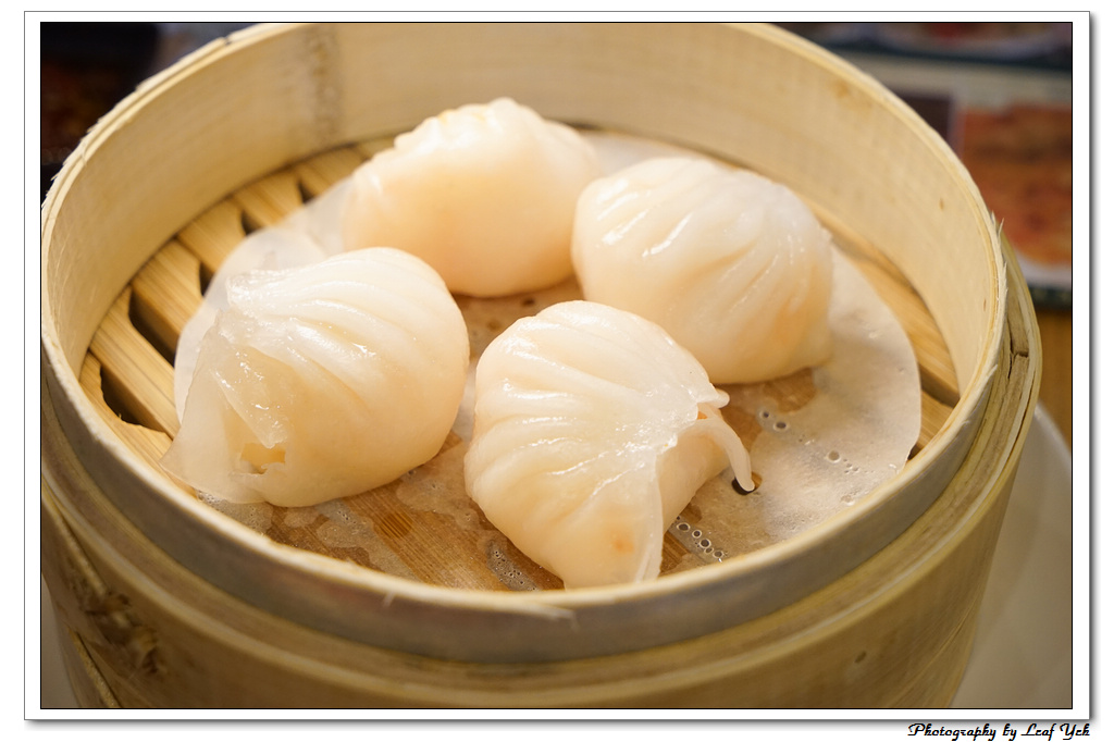 葉影瓶像版權所有