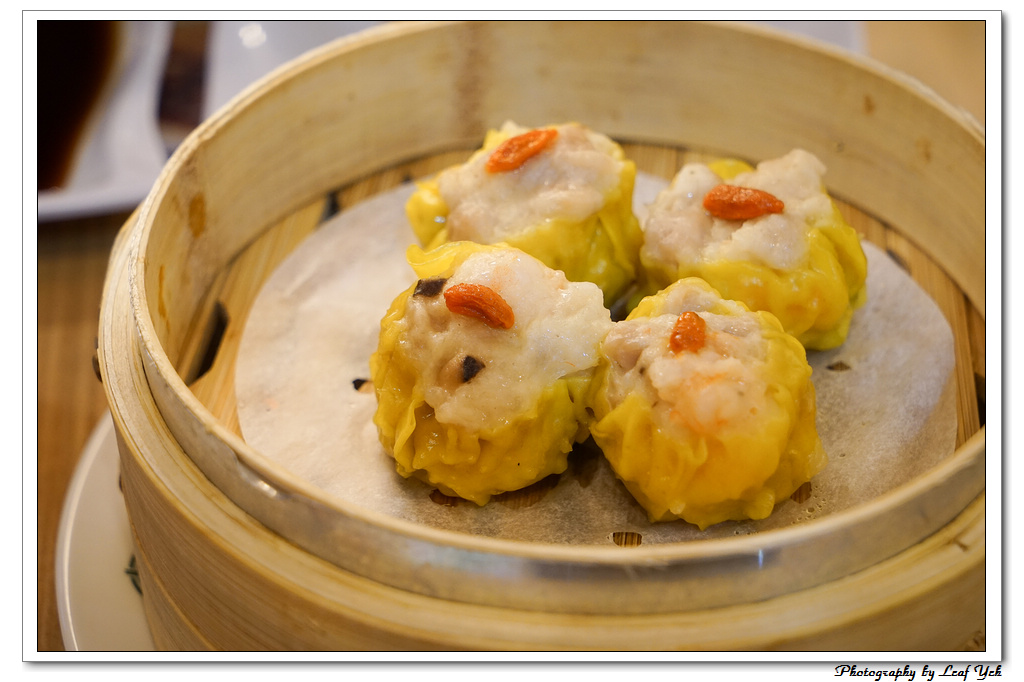 葉影瓶像版權所有