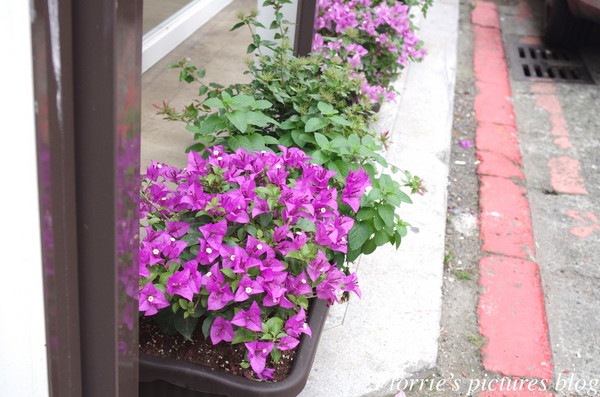 Qsweet：台北大安區美食~Qsweet精品甜點~精緻細膩的巧克力甜品(上)