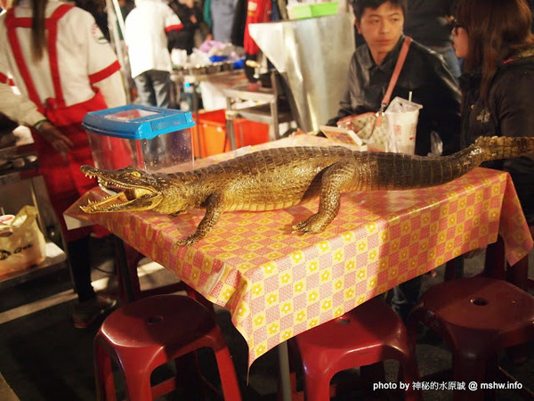 環中觀光夜市:【景點】台中環中觀光夜市@西屯 : 7000坪大容量的新夜市?!停車方便,攤位沒有經貿多,感覺比較接近龍富…