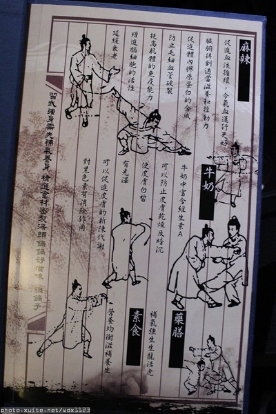 銅鍋子鍋物料理:銅鍋子鍋物料理✪來老虎城用餐又多一個選擇~103.12.25