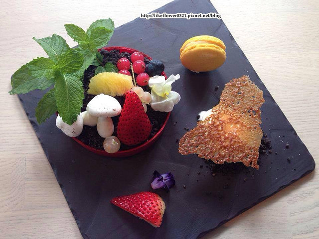 11050310_1123066757710876_2087894342127046269_n