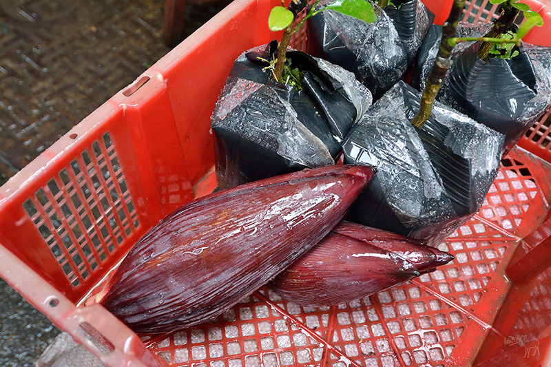 桃園中壢平鎮八德一日遊行程:愛上哥們偶像劇景點八塊畫室,忠貞市場跨族裔美食,沛芳有機農場