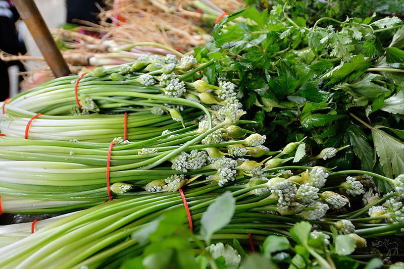 桃園中壢平鎮八德一日遊行程:愛上哥們偶像劇景點八塊畫室,忠貞市場跨族裔美食,沛芳有機農場