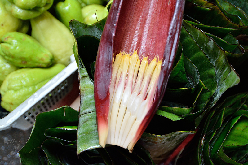 桃園中壢平鎮八德一日遊行程:愛上哥們偶像劇景點八塊畫室,忠貞市場跨族裔美食,沛芳有機農場