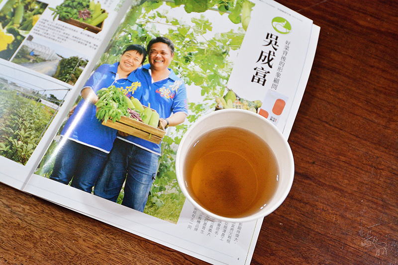 桃園中壢平鎮八德一日遊行程:愛上哥們偶像劇景點八塊畫室,忠貞市場跨族裔美食,沛芳有機農場