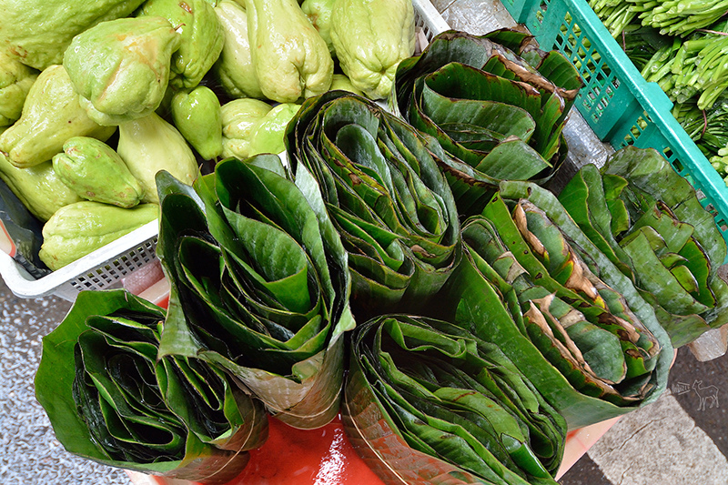 桃園中壢平鎮八德一日遊行程:愛上哥們偶像劇景點八塊畫室,忠貞市場跨族裔美食,沛芳有機農場