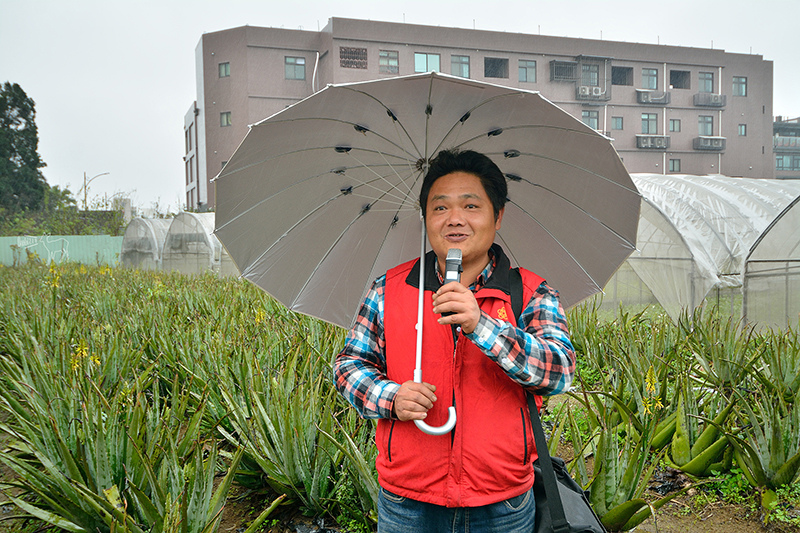 桃園中壢平鎮八德一日遊行程:愛上哥們偶像劇景點八塊畫室,忠貞市場跨族裔美食,沛芳有機農場